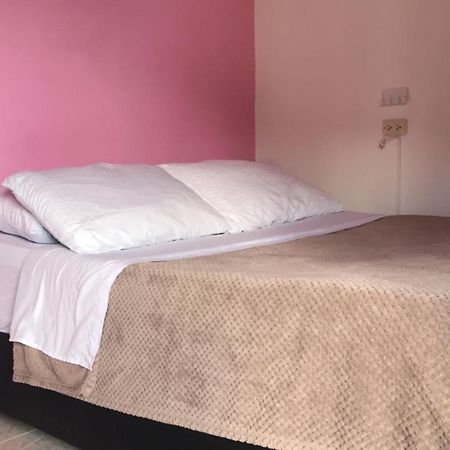 Hospedaje Casa Rosa Jardín Dış mekan fotoğraf