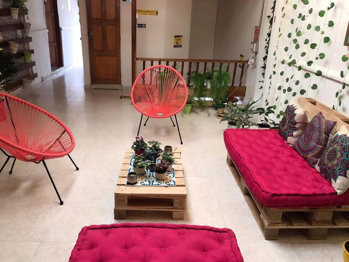 Hospedaje Casa Rosa Jardín Dış mekan fotoğraf